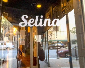 Selina Chicago Location